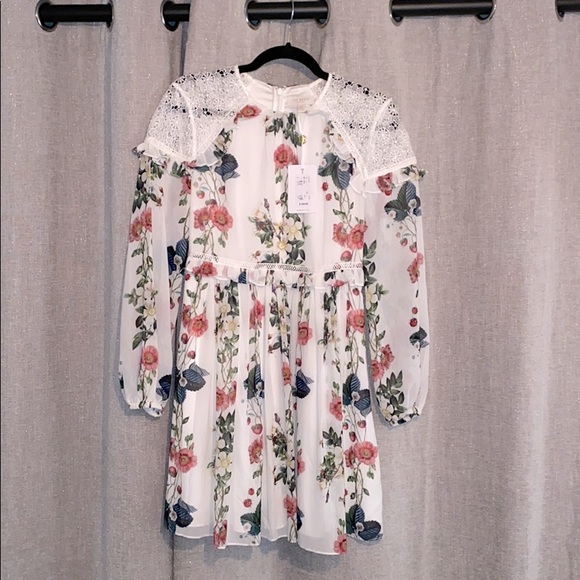 BNWT Ted Baker Floral Dress - Picture 2 of 4